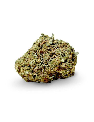 cannatonic cbd indoor a buon mercato su weedy.it