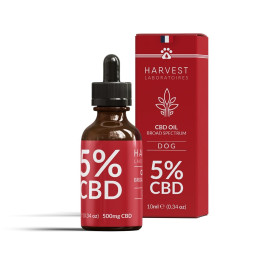 Olio di CBD per cani