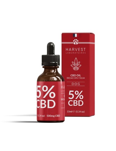 Olio di CBD per cani