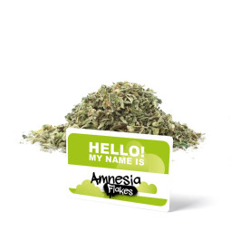 Amnesia Trim 15g - Fiore di...