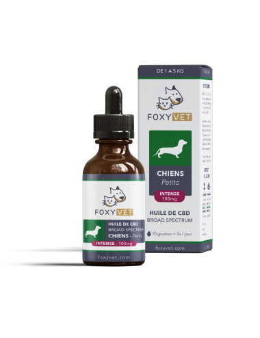 Olio di CBD Foxyvet per cani di piccola taglia