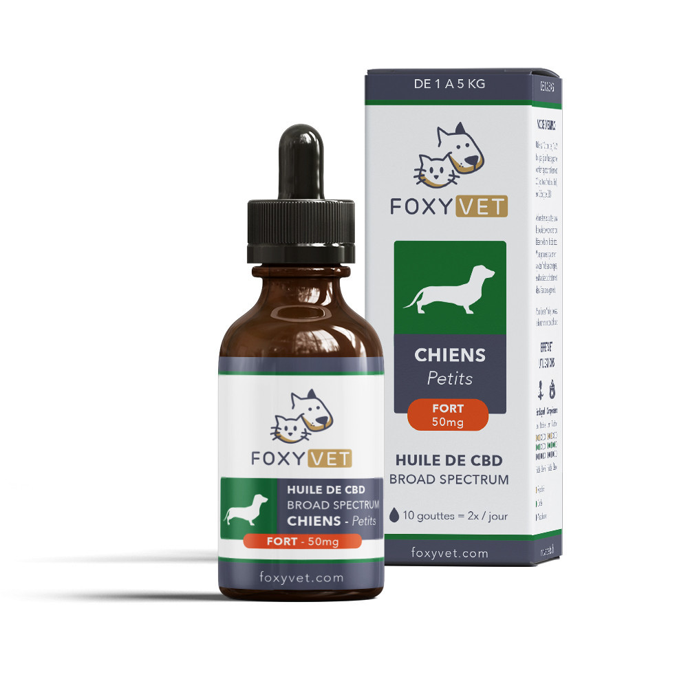 Olio di CBD per cani di piccola taglia Olio di CBD per cani di piccola taglia