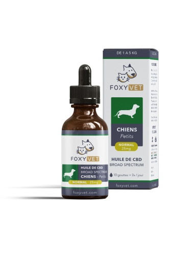 CBD per cani di piccola taglia