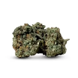 Strawberry Haze - Fiore di CBD - Erbaceo