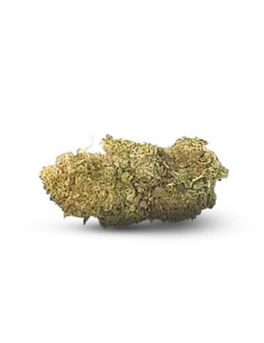 Bubble Gum CBD Indoor