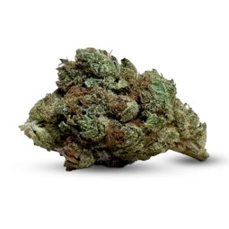 Pistacchio CBD Indoor