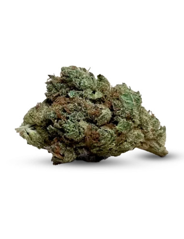 Pistacchio CBD Indoor