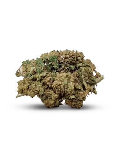 Gorilla CBD - Fiore di CBD -...