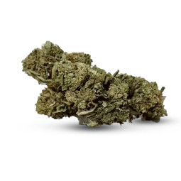 Tangie - Fiore di CBD - Erbaceo