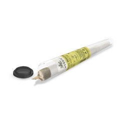 Spinelli pre-rollati di CBD - White Widow - Weedy