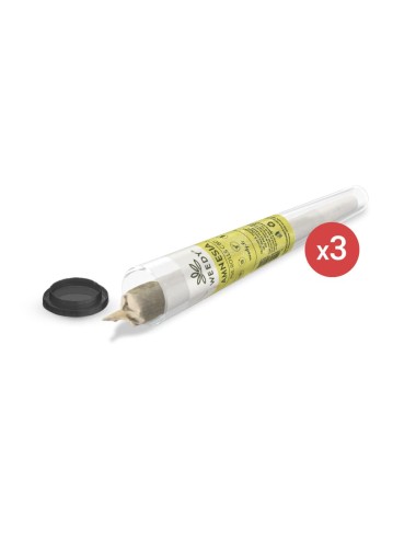 Confezione di spinelli pre-rollati al CBD -Amnesia x3 - Weedy