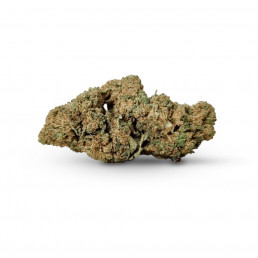 Serra Sour Diesel CBD