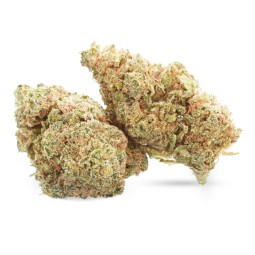 Gelato - Fiore di CBD - Avorio