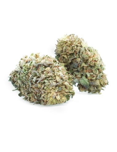 Bubble Kush - Fiore di CBD - Easy Weed