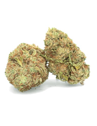 Balena Bianca - Fiore di CBD - Easy Weed