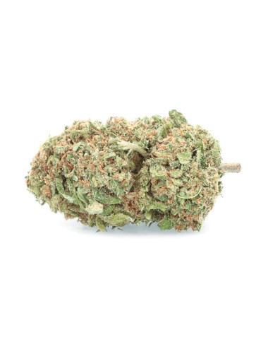 Bacche Critiche - Fiore di CBD - Erba Facile