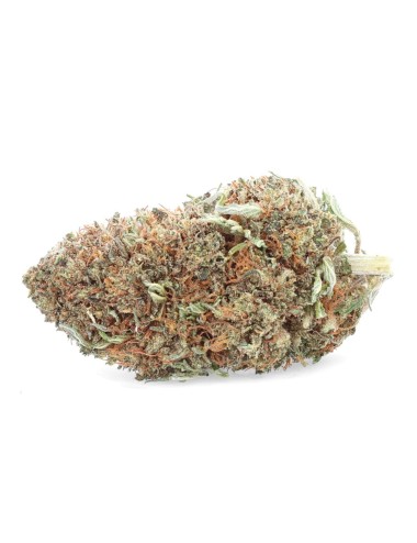 Ottano al limone - Fiore di CBD - Easy Weed