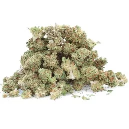 Fragola piccola - Fiore di CBD - Erbaceo