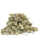 Fragola piccola - Fiore di CBD - Erbaceo