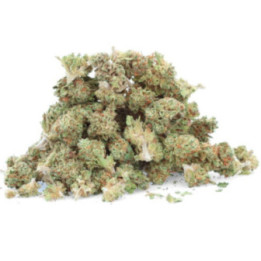 Fragola piccola - Fiore di CBD - Erbaceo