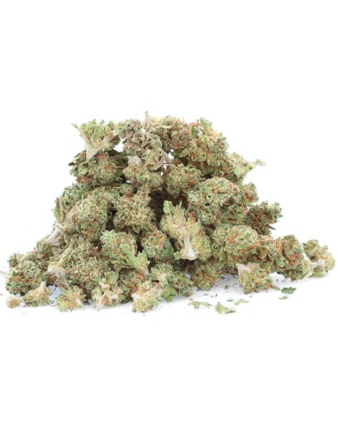 Fragola piccola - Fiore di CBD - Erbaceo