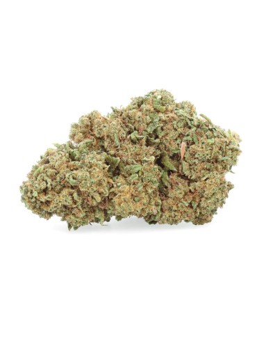Amnesia Haze - Fiore di CBD - Erbaceo