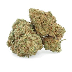 Amnesia Haze - Fiore di CBD - Erbaceo
