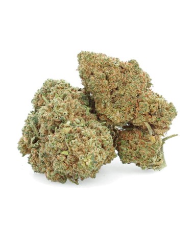 Amnesia Haze - Fiore di CBD - Erbaceo