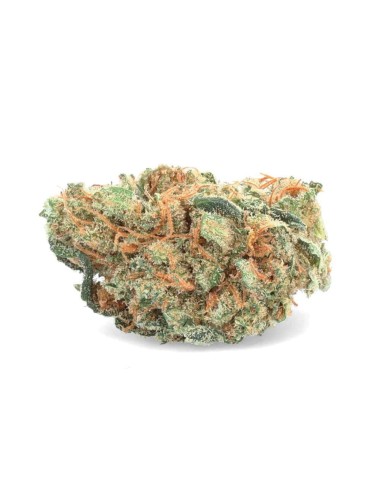 Pineapple CBD - Fiore di CBD - Weedy