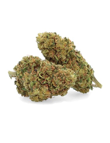 Remedy CBD - Fiore di CBD - Weedy