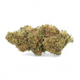 Remedy CBD - Fiore di CBD - Weedy