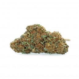 Super Skunk - Fiore CBD - Erbaceo