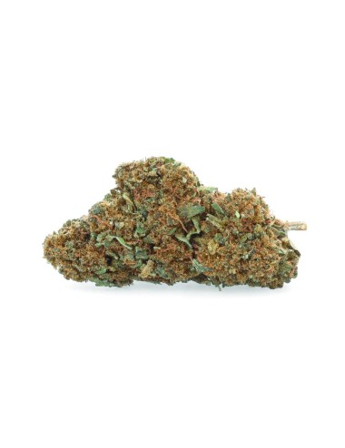 Super Skunk - Fiore CBD - Erbaceo
