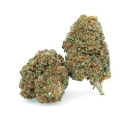 Super Skunk - Fiore CBD - Erbaceo