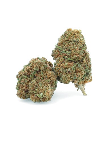 Super Skunk - Fiore CBD - Erbaceo
