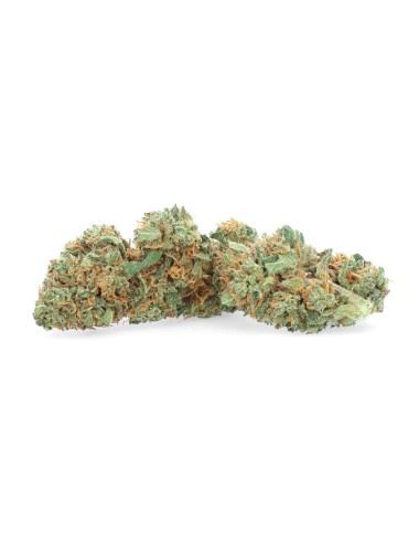 gelato verde cbd indoor a buon mercato su weedy.it