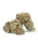 Gelato verde CBD - Fiore di CBD - Erbaccia - 2g