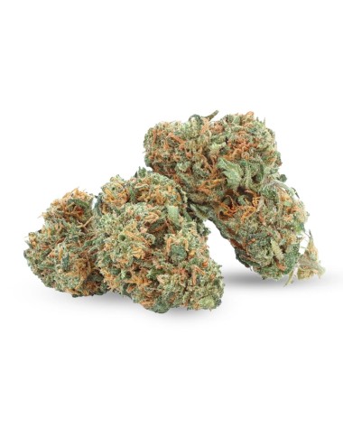 gelato verde cbd indoor a buon mercato su weedy.it