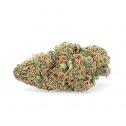 NYC Diesel - Fiore di CBD - Erbaccia