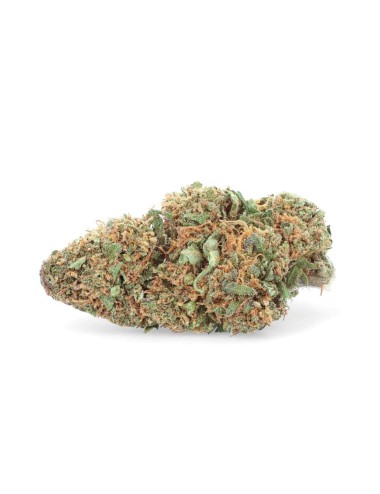 NYC Diesel - Fiore di CBD - Erbaccia