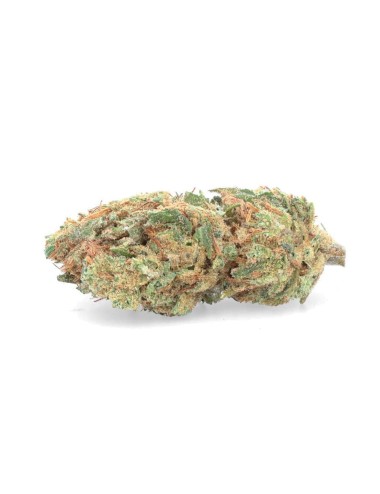 CBD Orange Bud - Fiore di CBD - Weedy