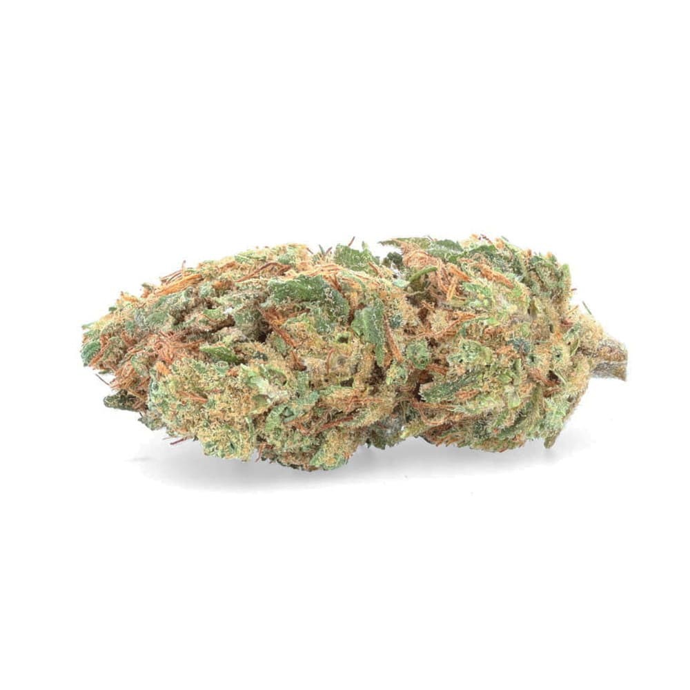 CBD Orange Bud - Fiore di CBD - Weedy