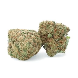 Arlecchino - Fiore di CBD - Erbaceo