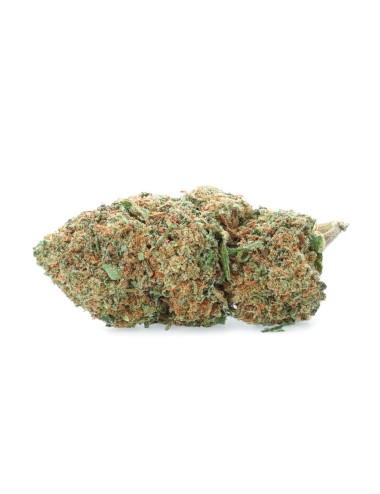 Arlecchino - Fiore di CBD - Erbaceo