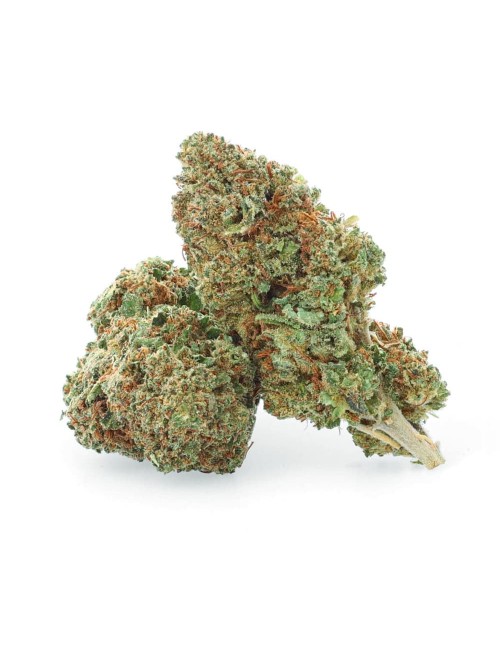 Royal Cheese - Fiore di CBD - Erbaceo