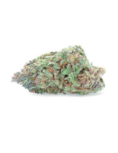 Zkittlez CBD Idroponica per interni