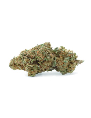 Super Lemon Haze - Fiore di CBD - Erbaccia