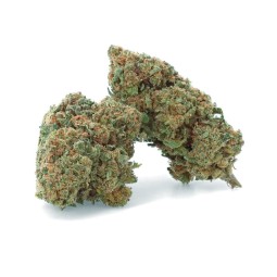 Super Lemon Haze - Fiore di CBD - Erbaccia