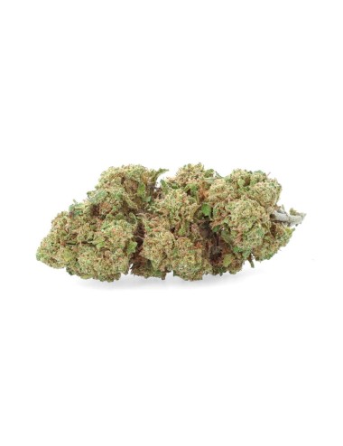 Vedova Bianca - Fiore di CBD - Erbaceo