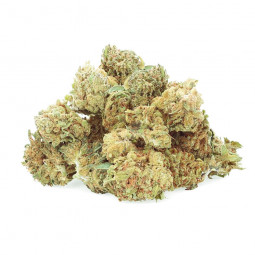 Mimosa Punch - Fiore di CBD - Easy Weed